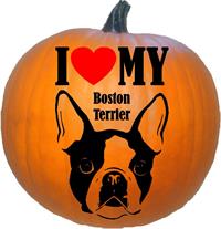 I Love My Boston Terrier