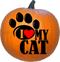 I Love My Cat