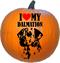 I Love My Dalmation